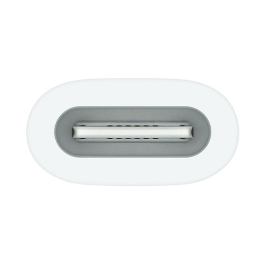 Apple USB-C to Apple Pencil Adapter from Apple sold by 961Souq-Zalka