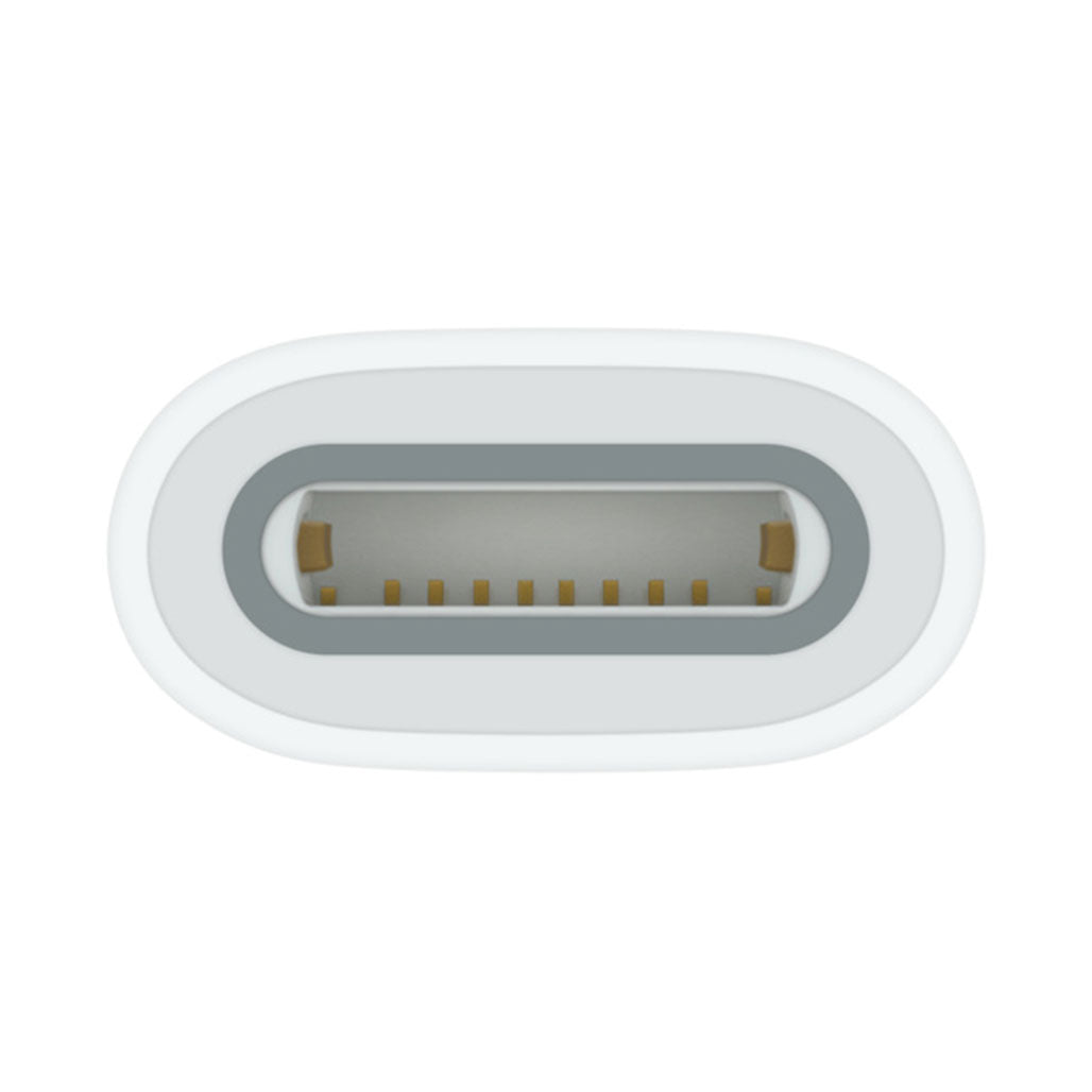 Apple USB-C to Apple Pencil Adapter from Apple sold by 961Souq-Zalka