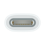 Apple USB-C to Apple Pencil Adapter from Apple sold by 961Souq-Zalka